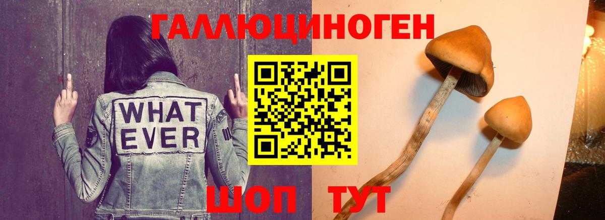 Псилоцибиновые грибы ЛСД  Псилоцибиновые грибы Magic Shrooms  Вход с VPN  Кудрово 